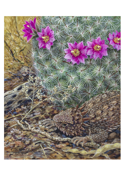 Now You See Me horned lizard
